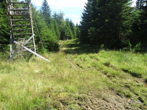 Foto 36
